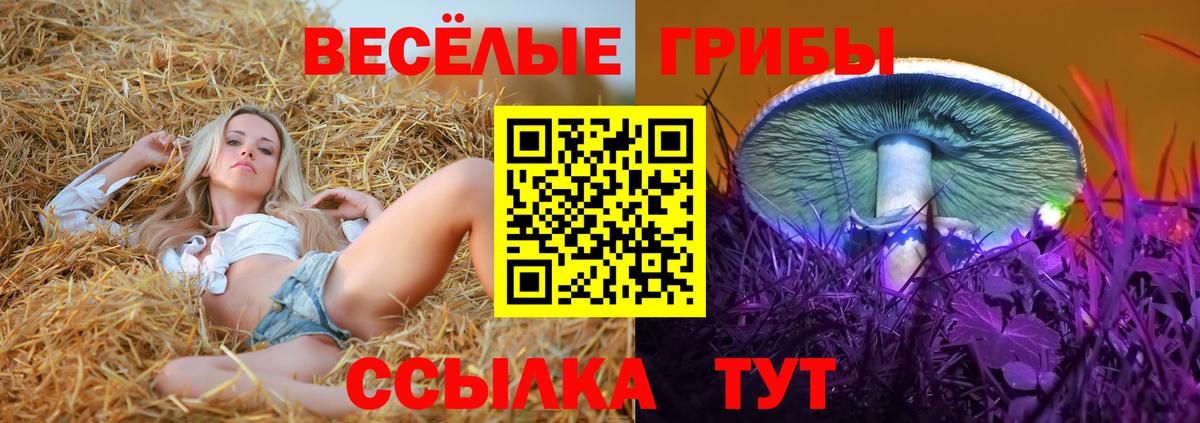 Галлюциногенные грибы GOLDEN TEACHER Коркино