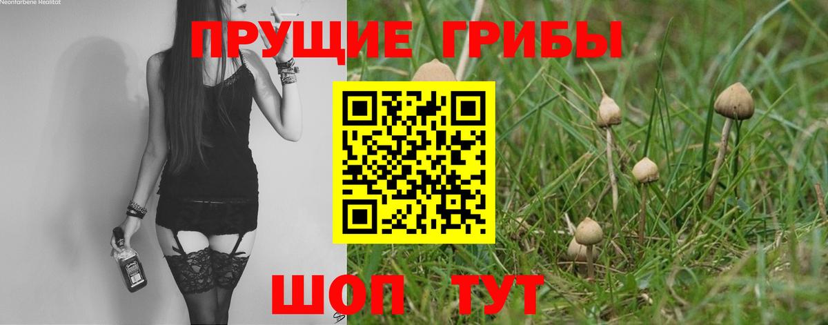 Псилоцибиновые грибы мухоморы  Вход с VPN  Коркино  Псилоцибиновые грибы мухоморы 